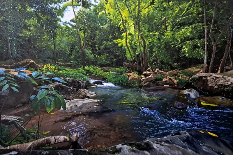 "Bocawina Forest" Epson Print - Keion Griffith